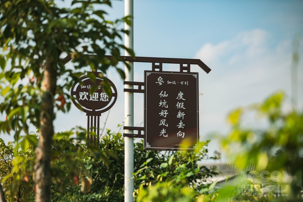 鄉(xiāng)村文旅設計如何結合鄉(xiāng)村音樂會和藝術展覽？